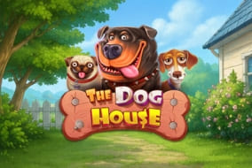The Dog House